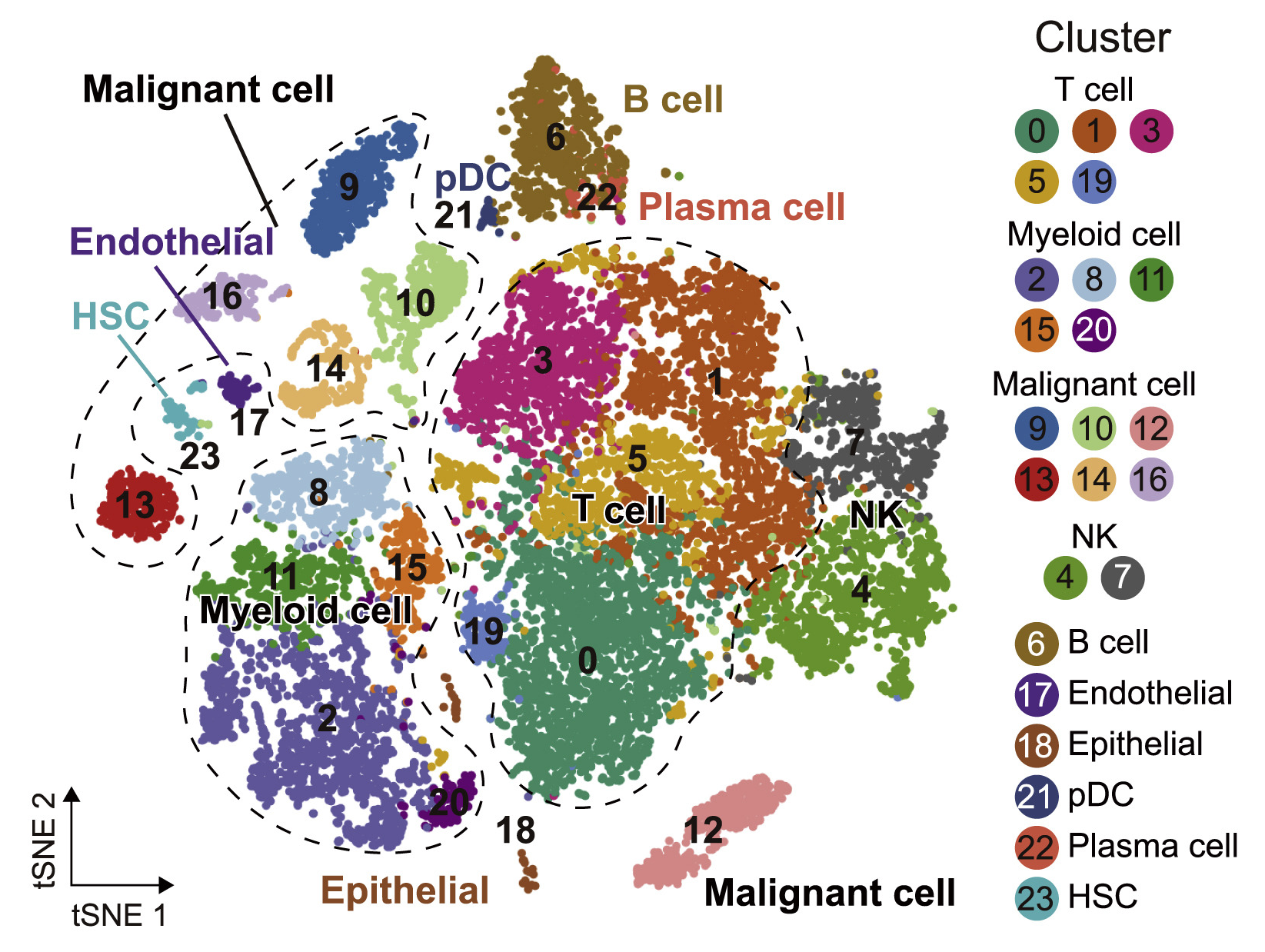 Single-Cell-RNA-Sequencing-Pipeline