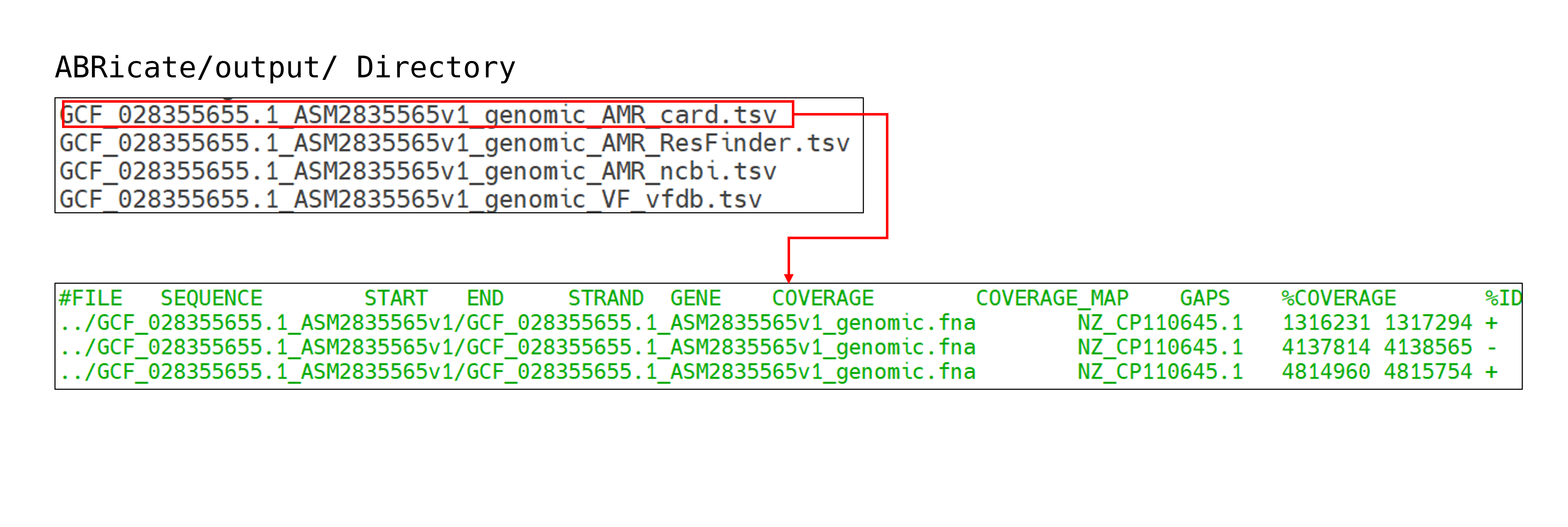 Single-Cell-RNA-Sequencing-Pipeline